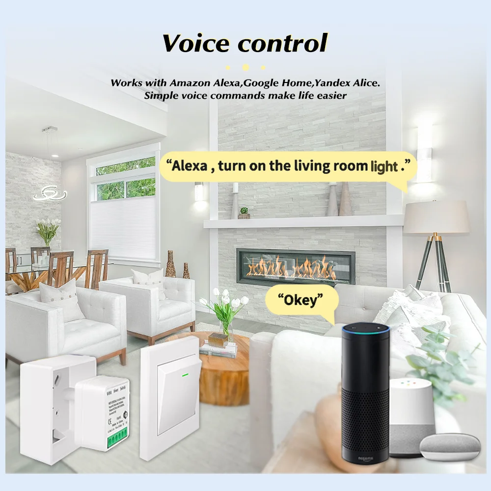 For Tuya Mini Smart WiFi Switc - đánh giá và giá Diy Automation